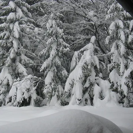 Lejlighed Mooslechner *